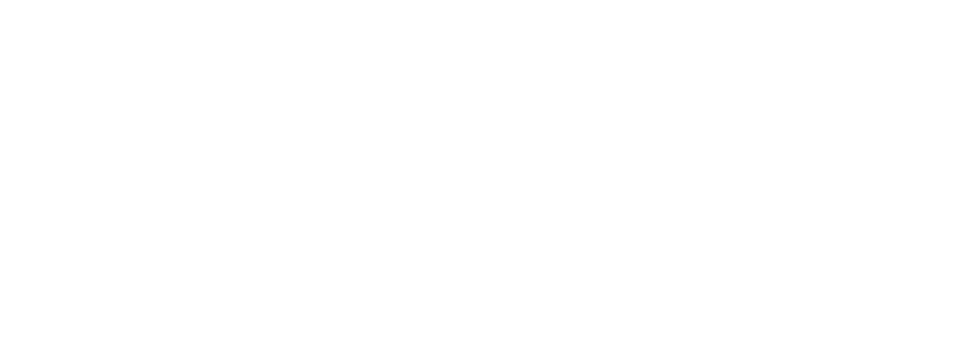 PlatinumFix